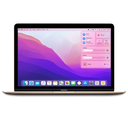 Apple MacBook 10,1 2017 12" A1534 MNYK2LL/A 1.2 GHz Core M3 256GB SSD