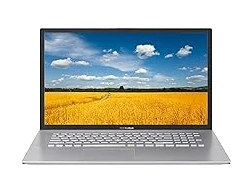 ASUS 712J 17" Intel Core i5-10th gen laptop
