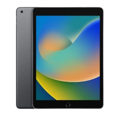 Apple iPad (9th generation) 256 GB (Wi-Fi)