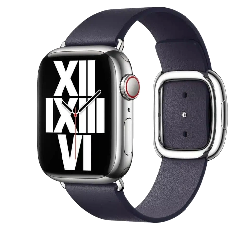 Apple Watch 38mm SS Black Modern Buckle MJYK2LL/A watch