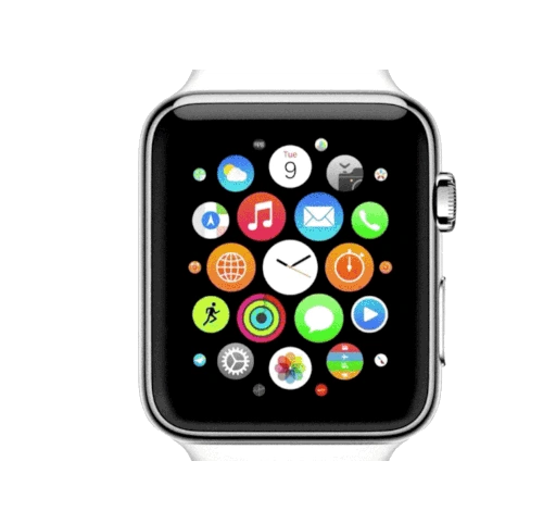 Apple Watch 38mm SS Milanese Loop MJ322LL/A watch