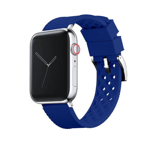 Apple Watch 42mm SS Marine Blue Classic Buckle watch