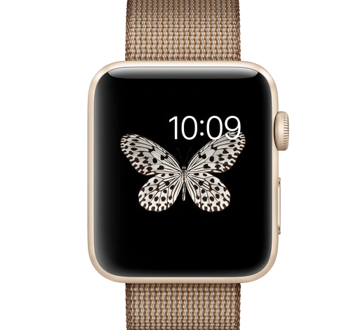 Apple Watch Series 2 42mm Gold Aluminum Toasted Coffee Caramel Woven Nylon Band MNPP2LL/A watch