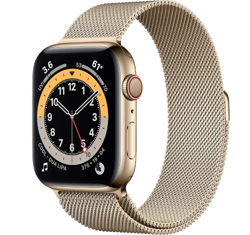 Apple Watch Series 5 40mm Gold SS Milanese Loop GPS Cellular watch