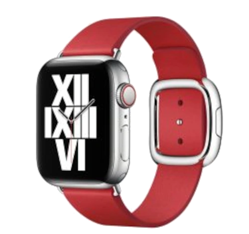 Apple Watch Series 6 40mm Aluminum Modern Buckle A2291 GPS Only watch