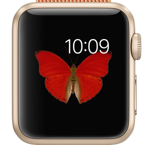 Apple Watch Sport 38mm Gold Aluminum Gold Red Woven Nylon Band MMF52LL/A