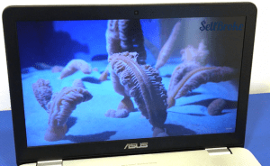 ASUS N551JQ IPS Full HD Display