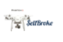Sell Broke DJI Phantom 3 Drone